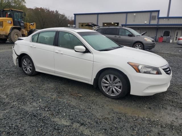 2011 Honda Accord EXL