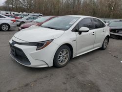 Toyota salvage cars for sale: 2020 Toyota Corolla LE