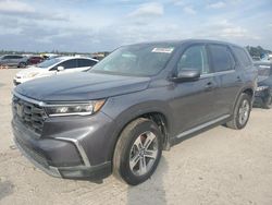 Honda Pilot Vehiculos salvage en venta: 2024 Honda Pilot EXL