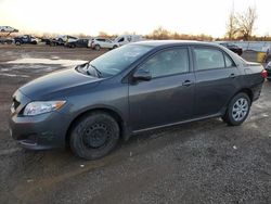 Toyota Corolla salvage cars for sale: 2009 Toyota Corolla Base