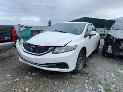 Honda Civic salvage cars for sale: 2013 Honda Civic LX