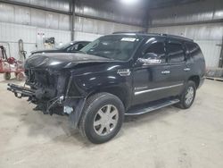 Cadillac Escalade salvage cars for sale: 2007 Cadillac Escalade Luxury