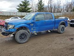 Ford f-150 salvage cars for sale: 2012 Ford F150 Supercrew