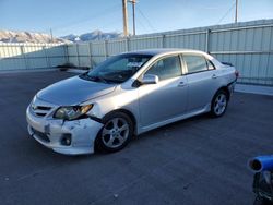 Toyota Corolla salvage cars for sale: 2013 Toyota Corolla Base