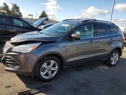 Ford Escape salvage cars for sale: 2013 Ford Escape SE