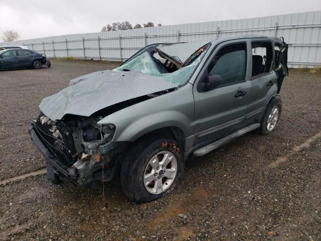 2005 Ford Escape XLT