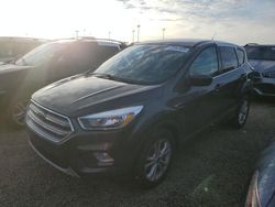 Ford Escape salvage cars for sale: 2017 Ford Escape SE