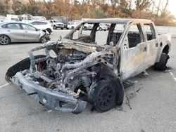 2012 Ford F150 SVT Raptor for sale in Van Nuys, CA