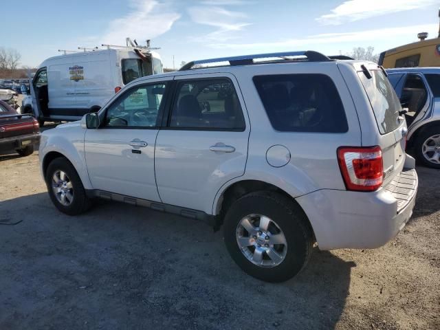 2011 Ford Escape Limited