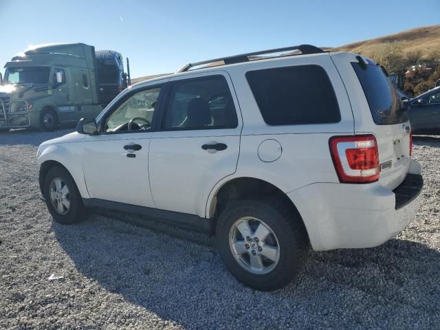 2011 Ford Escape XLT