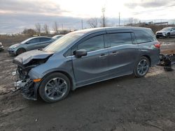 Honda salvage cars for sale: 2024 Honda Odyssey Touring