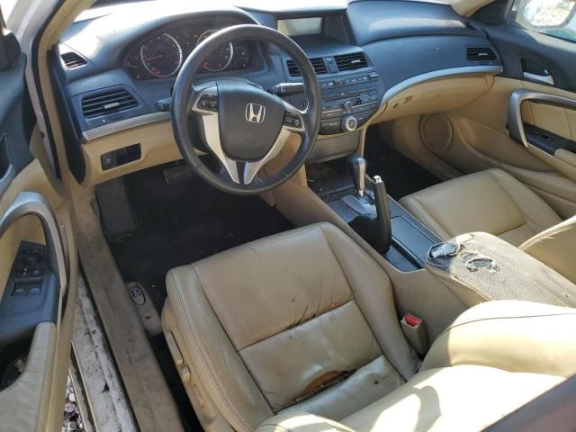 2008 Honda Accord EXL