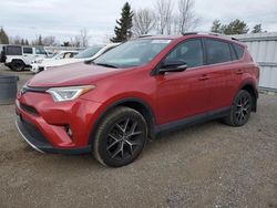 Toyota rav4 salvage cars for sale: 2016 Toyota Rav4 SE