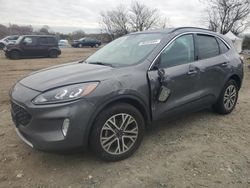 Ford Escape salvage cars for sale: 2021 Ford Escape SEL