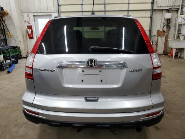 2010 Honda CR-V EXL