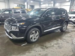 Hyundai Santa fe salvage cars for sale: 2023 Hyundai Santa FE SEL Premium