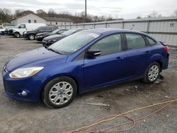 Ford Focus salvage cars for sale: 2012 Ford Focus SE