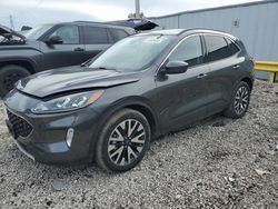 Ford Escape salvage cars for sale: 2020 Ford Escape SEL