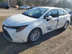 Toyota Corolla salvage cars for sale: 2020 Toyota Corolla LE