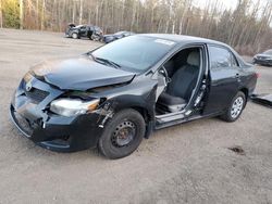 Toyota Corolla salvage cars for sale: 2010 Toyota Corolla Base