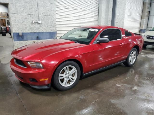 2011 Ford Mustang