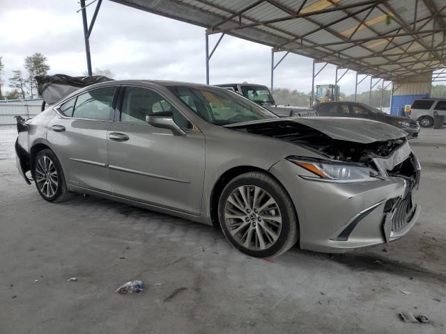 2019 Lexus ES 300H