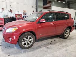 Toyota rav4 salvage cars for sale: 2010 Toyota Rav4 Limited