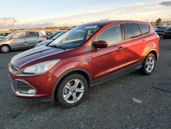 Ford Escape salvage cars for sale: 2015 Ford Escape SE