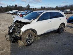 KIA Sorento salvage cars for sale: 2019 KIA Sorento EX