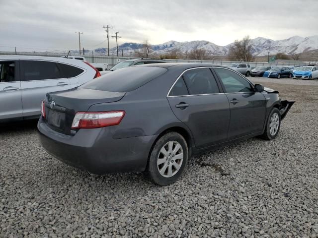 2009 Toyota Camry Hybrid