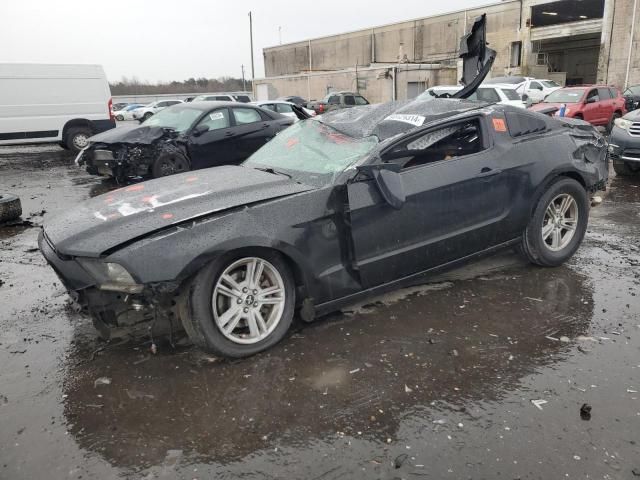 2013 Ford Mustang