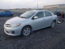 Toyota Corolla salvage cars for sale: 2013 Toyota Corolla Base