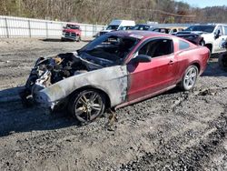 Ford Mustang salvage cars for sale: 2014 Ford Mustang