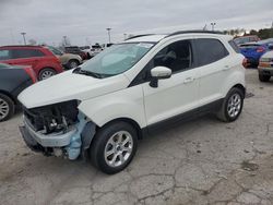 Ford Ecosport salvage cars for sale: 2019 Ford Ecosport SE