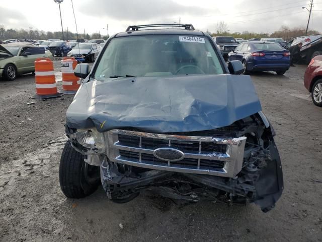 2010 Ford Escape Limited