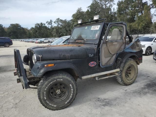 1980 Jeep Renegade