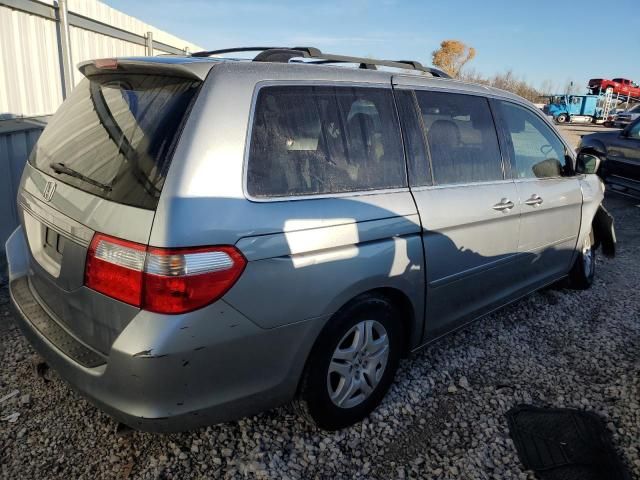 2005 Honda Odyssey EXL