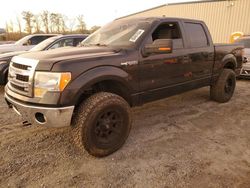 2013 Ford F150 Supercrew for sale in Spartanburg, SC