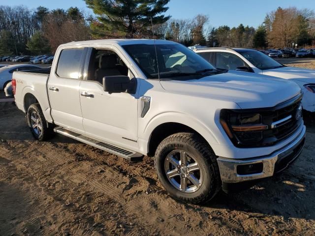 2024 Ford F150 XLT