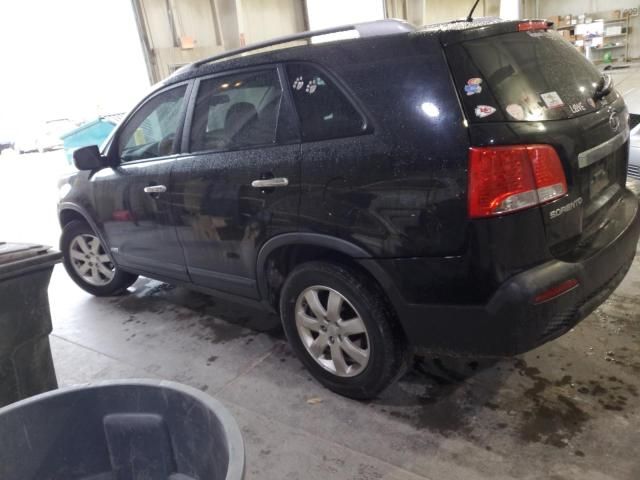 2011 KIA Sorento Base