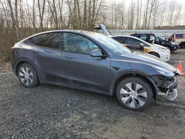 2020 Tesla Model Y