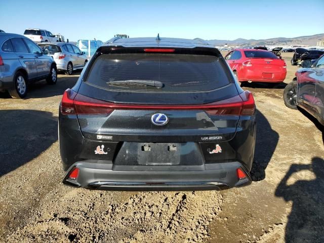 2021 Lexus UX 250H