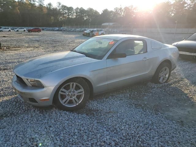 2010 Ford Mustang