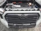 2024 Toyota Tundra Crewmax Platinum