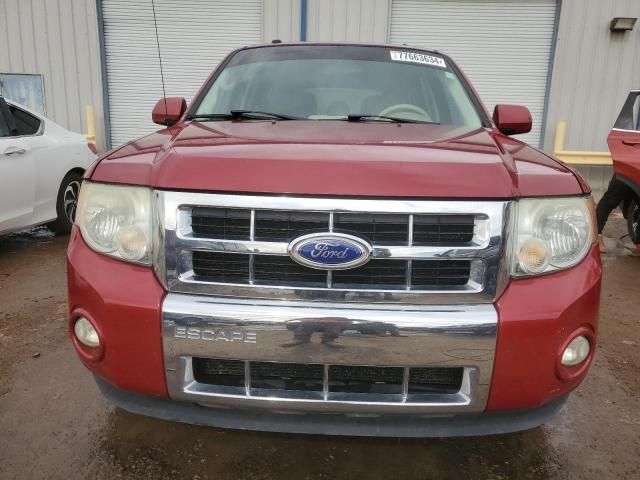 2011 Ford Escape Limited