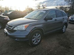 Honda crv salvage cars for sale: 2011 Honda CR-V SE