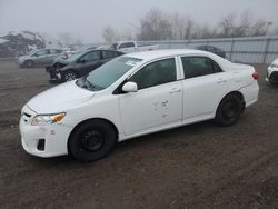 Toyota Corolla salvage cars for sale: 2011 Toyota Corolla Base