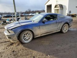 Ford Mustang salvage cars for sale: 2012 Ford Mustang