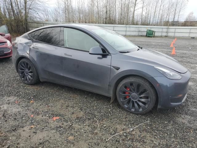 2022 Tesla Model Y