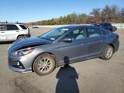 Hyundai Sonata salvage cars for sale: 2019 Hyundai Sonata SE